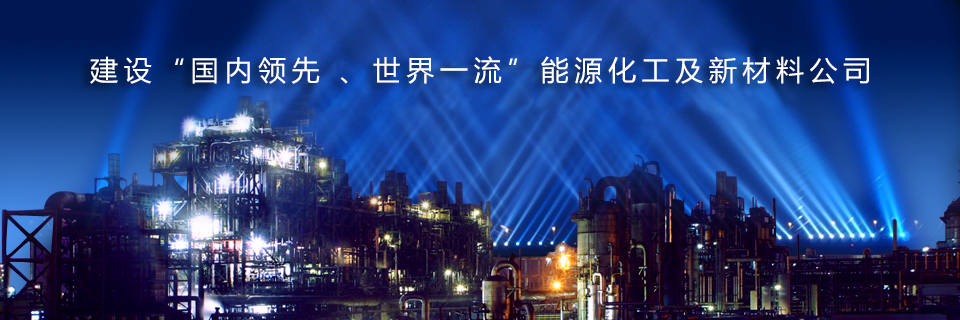 建设国内领先世界一流炼化企业