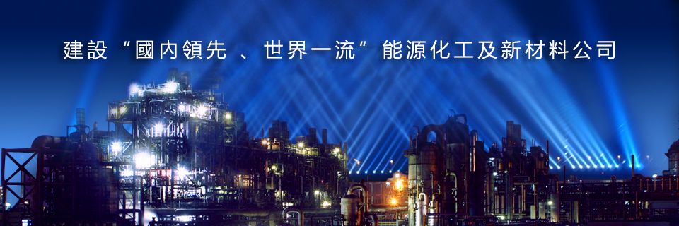 建设国内领先世界一流炼化企业