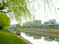 Environmental Protection
