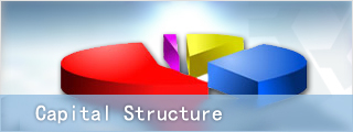 equity_structure